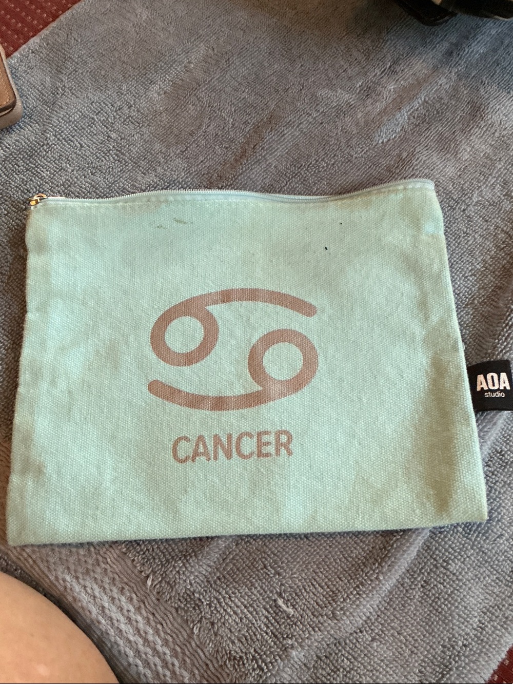 Aa Studio Mint Canvas Zodiac Pouch - Cancer Print